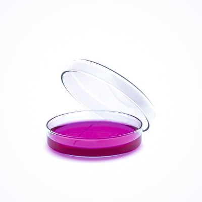 Placa Petri de vidrio 120x20